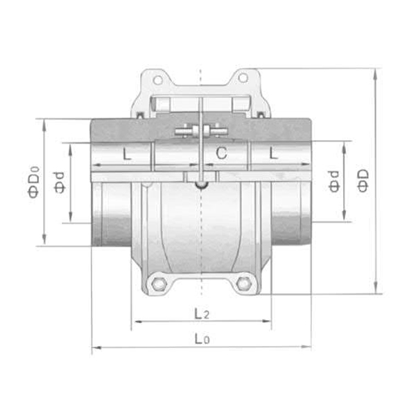 T05系列快速拆裝型蛇形彈簧聯(lián)軸器